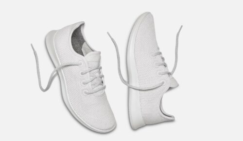 Sneaker von Allbirds (Foto: Allbirds)