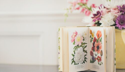 Bücher im Frühling: Mit diesen Neuerscheinungen wird der sonnige Abend noch schöner. (Foto: Unsplash)