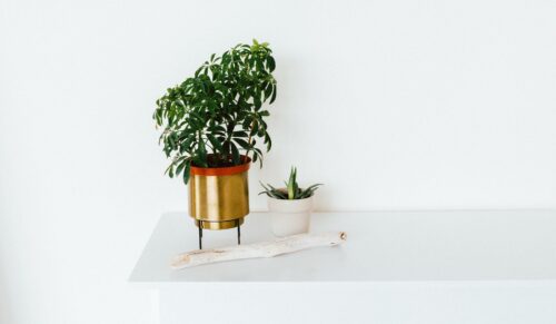 So sehen die aktuellen Deko Trends 2018 aus: Viele Metallics, viel Grün und viel Vintage-Spirit. (Foto: Unsplash)