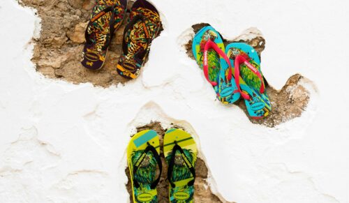 Special Edition von Havainas zum Schutz der Artenvielfalt in Brasilien. (Foto: Havaianas)