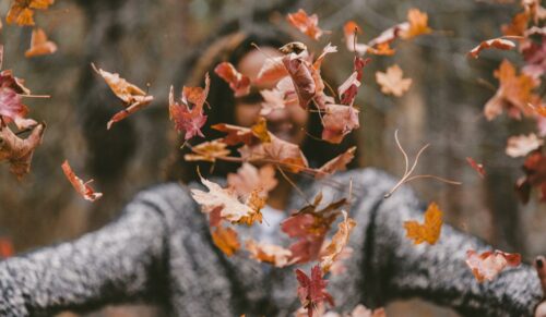 Die neue Herbst-Deko wird beruhigter und setzt auf neue Farben. (Foto: Jakob Owens on Unsplash)