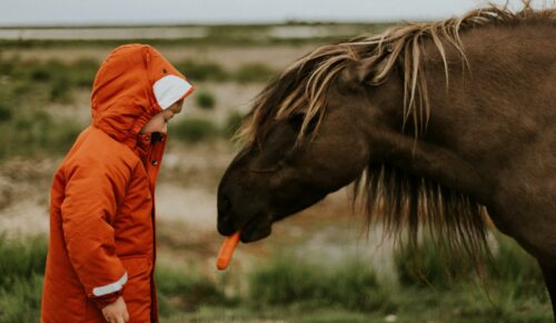 Kids-Trends im Herbst/Winter 2019/20 (Foto: Daiga Ellavy / Unsplash). 