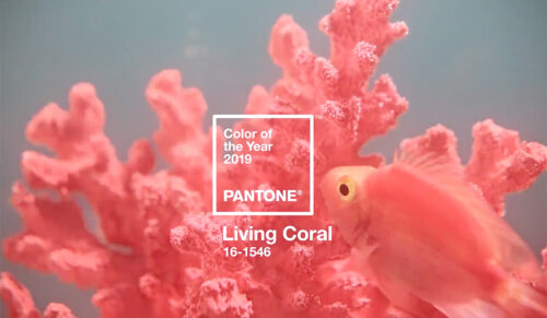 Pantone gibt Farbe des Jahres 2019 bekannt: Pantone 16-1546 Living Coral. (Foto: Pantone)