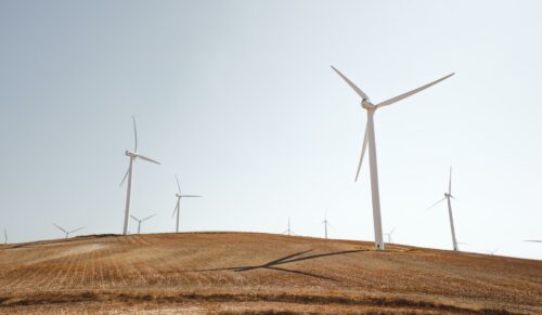 Klimawandel - ein Thema für die Schuhbranche (Foto: Luca Bravo/Unsplash)