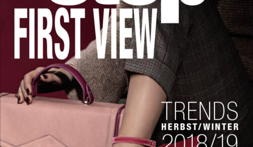 step first view Ausgabe 01/2018